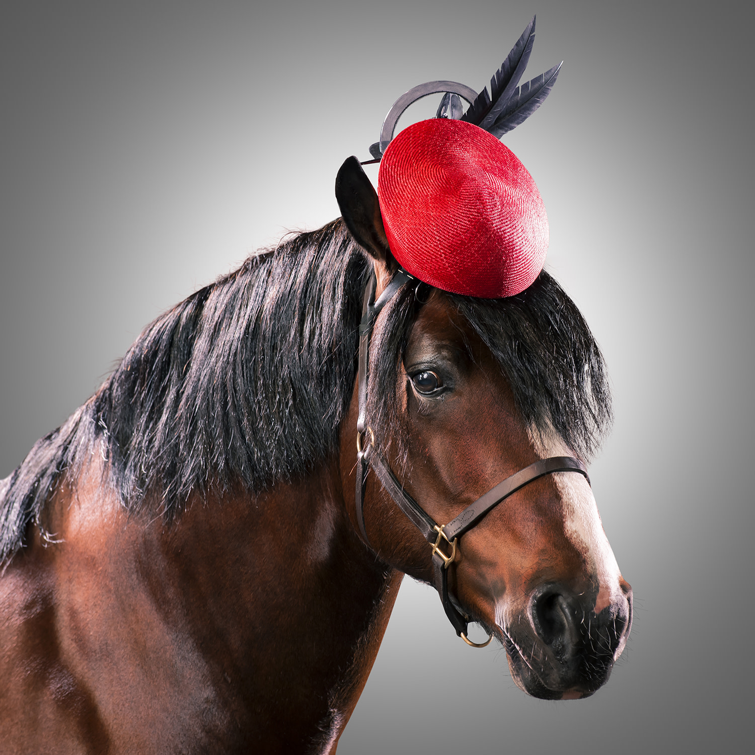 Horse hat 2025